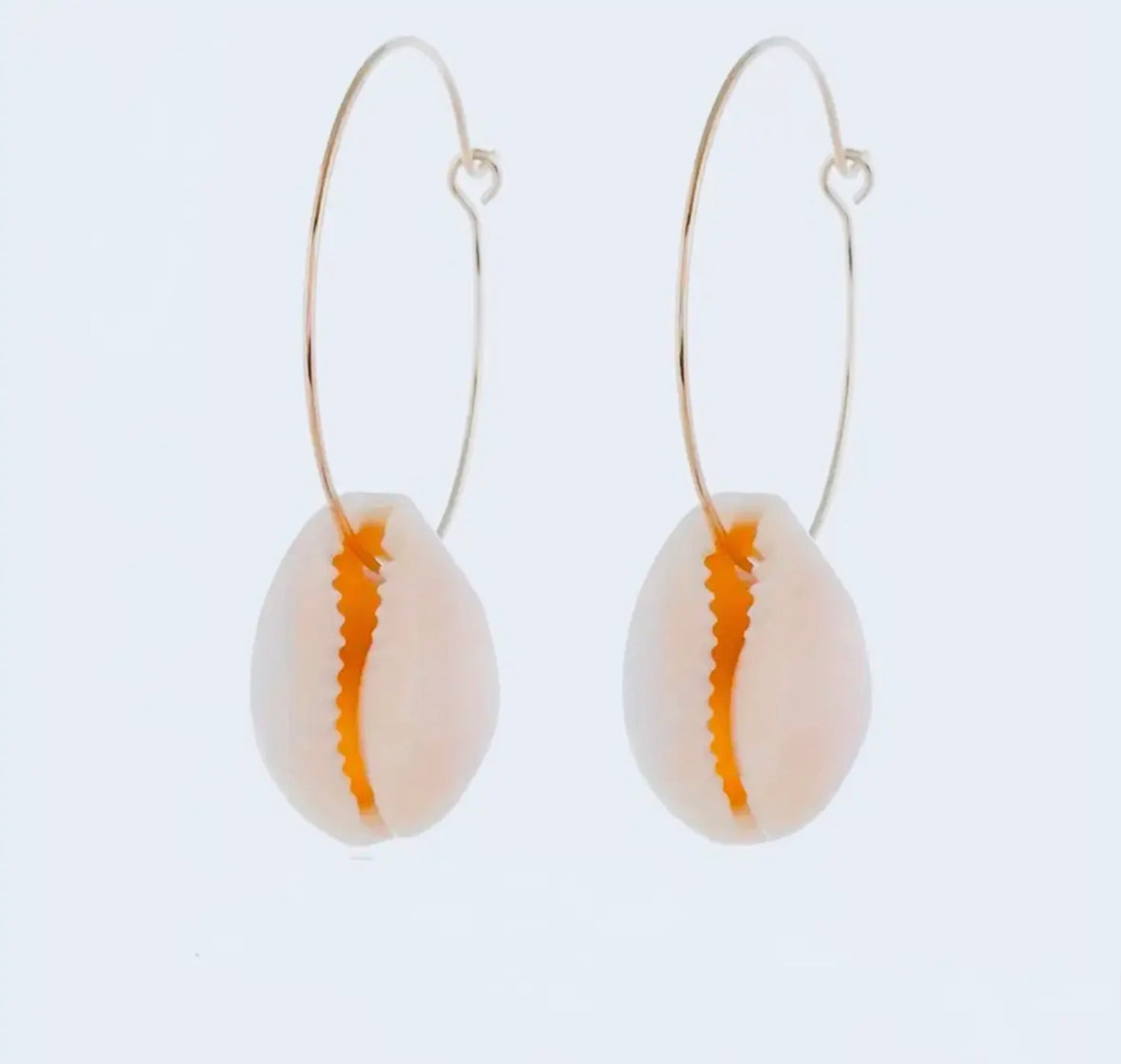 Natural Cowrie Shell Gold Hoops